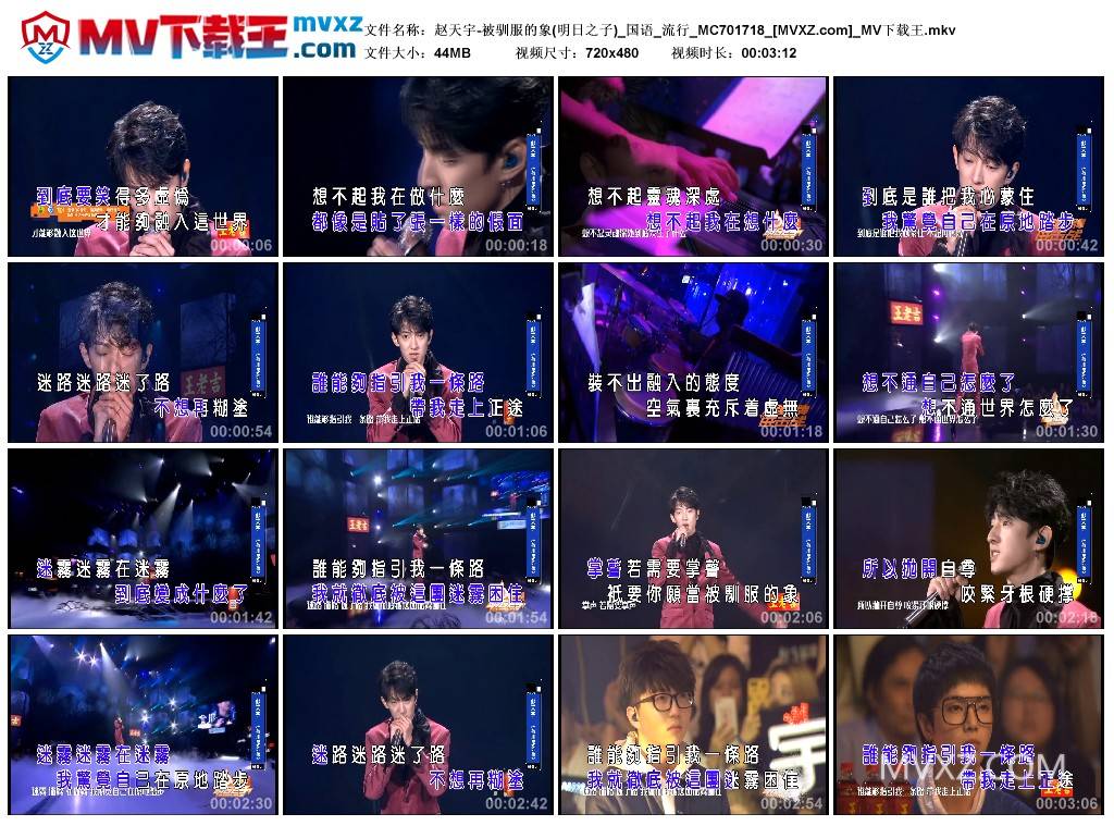 赵天宇-被驯服的象(明日之子)_国语_流行_MC701718